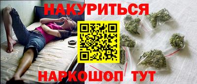 шишки Дубна