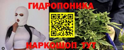 шишки Дубна