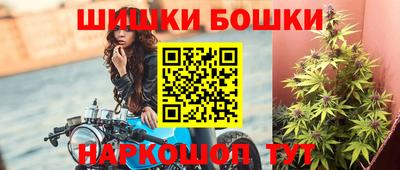шишки Дубна