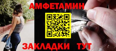 шишки Дубна