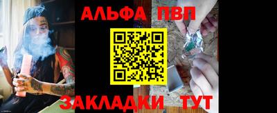 шишки Дубна